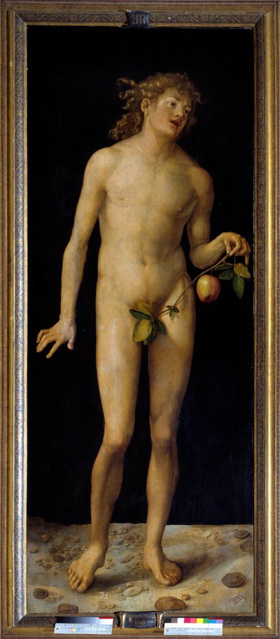 Adam Maleri af Albrecht Durer (1471-1528) 1507 søn. 2,09 x 0,80 m Madrid, Prado Museum - Adam. Maleri af Albrecht Durer (1471-1528), olie på panel af Albrecht Dürer