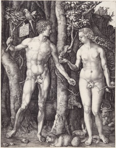 Adam og Eva, pub. 1504 (gravering) af Albrecht Dürer