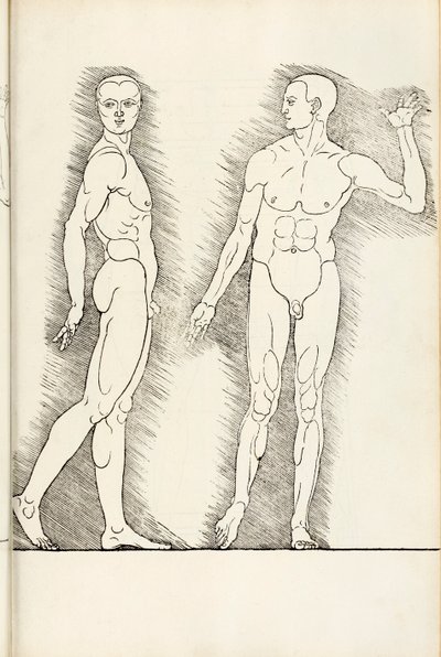 Anatomisk træsnit fra Heri er forstået fire bøger af menneskelig proportion, 1528 af Albrecht Dürer