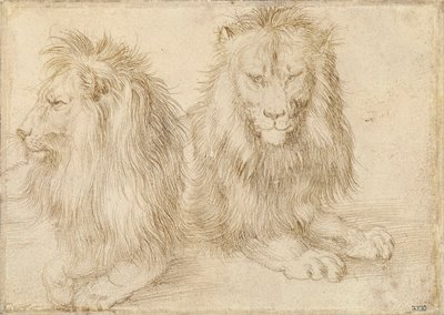To siddende løver - Tegning af Albrecht Durer (1471-1528) af Albrecht Dürer