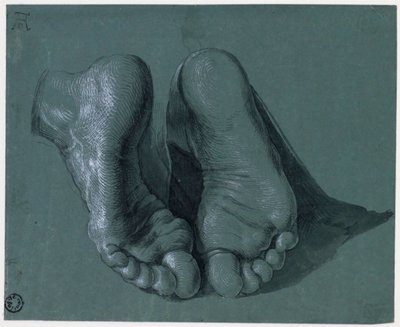 Etude de pieds - Study of Two Feet - Tegning af Albrecht Durer (1471-1528), Akvarel, hvid farve, sort kridt på papir, c1508 (17,6x21,6cm) - Museum Boijmans Van Beuningen, Rotterdam af Albrecht Dürer