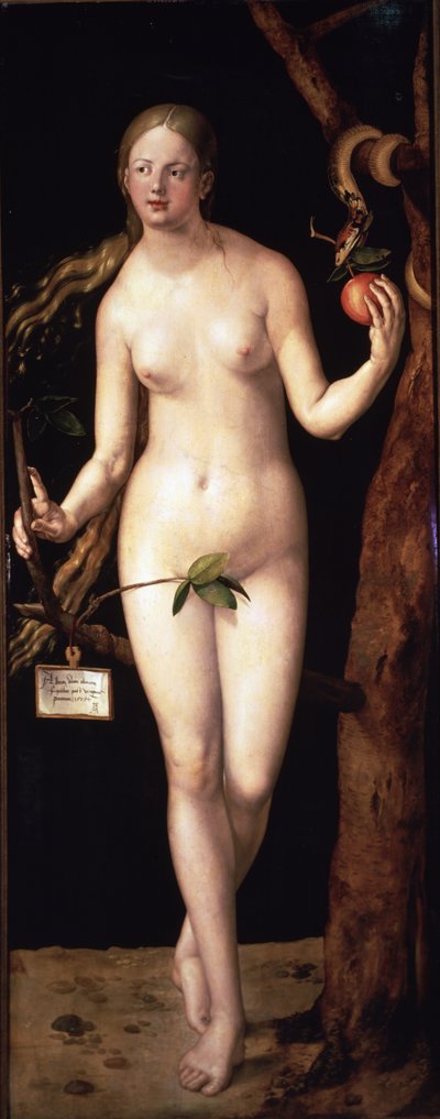 Eva af Albrecht Dürer or Duerer