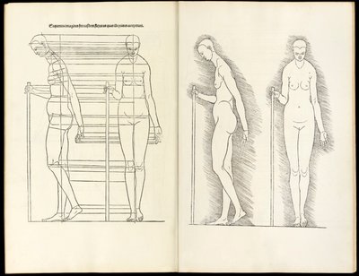 Kvinde med stav, anatomisk træsnit fra Heri er forstået fire bøger af menneskelig proportion, 1528 af Albrecht Dürer