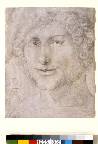 Leder af en ung mand, 1503 af Albrecht Dürer