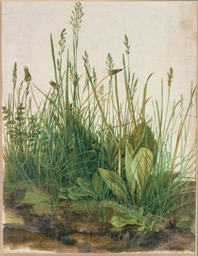 Stor klump tørv - Das grosse Rasenstueck af Albrecht Dürer or Duerer
