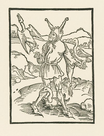 Narr hur as vern af Albrecht Dürer or Duerer