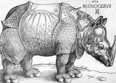 Næsehorn af Albrecht Dürer