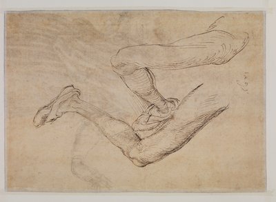 Studie af et venstre ben fra to synspunkter af Albrecht Dürer