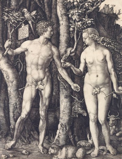 Menneskets fald af Albrecht Durer af Albrecht Dürer