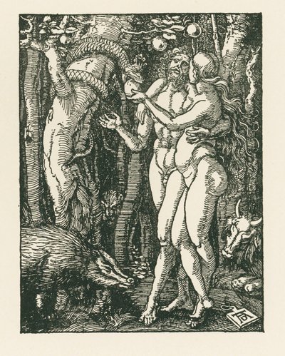 Menneskets fald, ca. 1510 (træsnit) af Albrecht Dürer or Duerer