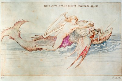 Den græske digter Arion rider på delfinen, ca. 1515 (akvarel på papir) af Albrecht Dürer or Duerer