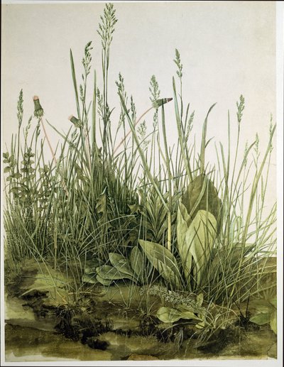Det store stykke græs af Albrecht Dürer or Duerer