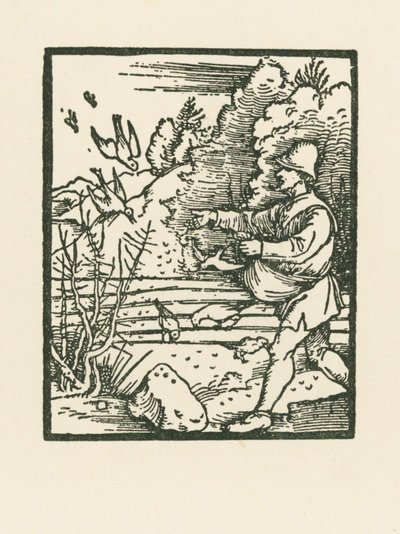Lignelsen om sædemanden af Albrecht Dürer or Duerer