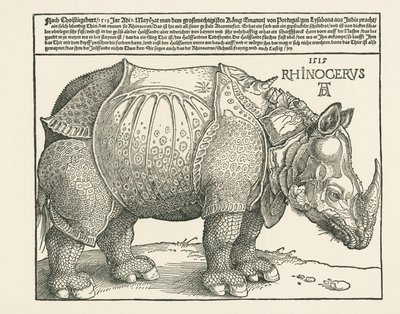 Næsehornet af Albrecht Dürer or Duerer