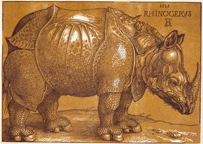 Næsehornet af Albrecht Dürer or Duerer