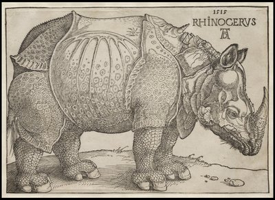 Næsehornet, 1515 af Albrecht Dürer