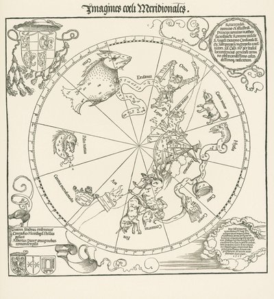 Den sydlige halvkugle af den kelestrale klode af Albrecht Dürer or Duerer