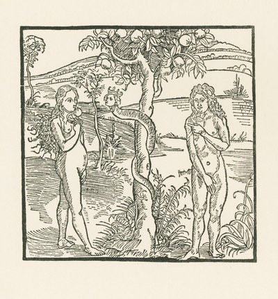 Faldet. Illustration til "Der Ritter von Turn" , ca. 1493-93 (træsnit) af Albrecht Dürer or Duerer