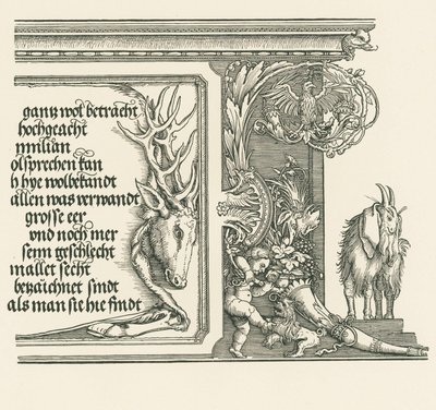 Triumfbue for kejser Maximilian I af Albrecht Dürer or Duerer