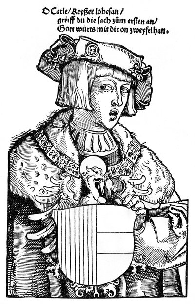 Den unge Charles V af Albrecht Dürer
