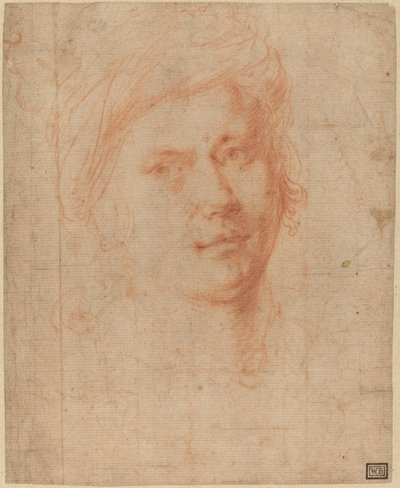 leder af en ungdom af Alessandro Allori