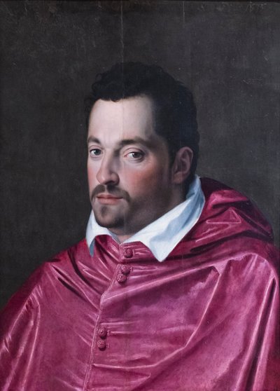 Portræt af kardinal Ferdinando Medici af Alessandro Allori