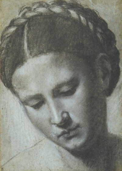 Et kvindehoved med flettet hår (kul & hvidt kridt på carta azzura) af Alessandro Bonvicino Moretto