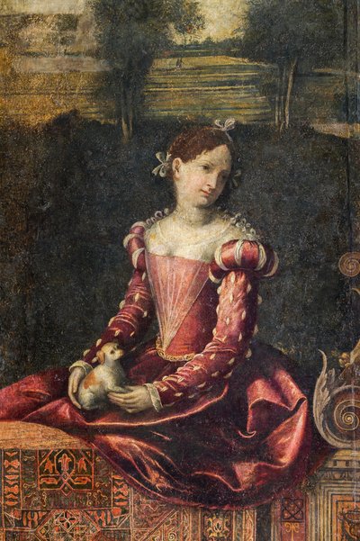 Portræt af en adelskvinde, detalje af de ædle damers lille værelse (olie på lærred limet til væggene) af Alessandro Bonvicino Moretto
