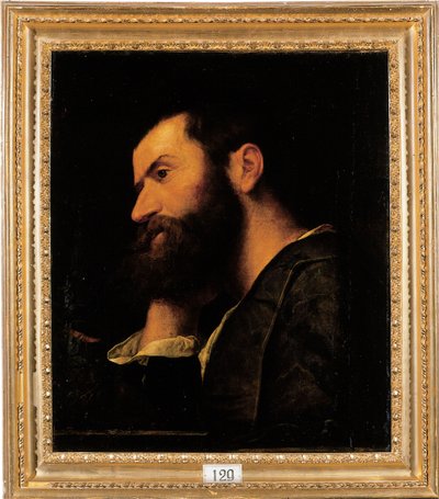 Portrait of the poet Pietro Aretino, bust-length, resting his head on his right hand by a ledge with a plantdani af Alessandro Bonvicino Moretto