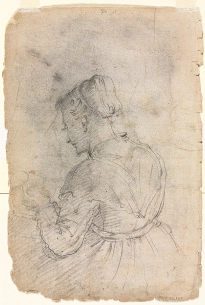 A Kitchen Maid, anden halvdel af 1500-tallet. af Alessandro Casolani