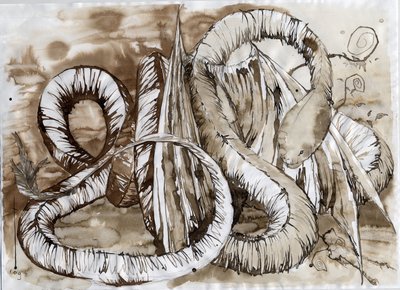 Illustration af et fantastisk og legendarisk dyr: drage med en slangelang krop. Farvetegning af Alessandro Lonati. af Alessandro Lonati