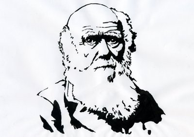 Portræt af Charles Darwin - Portræt af den engelske naturforsker Charles Darwin (1809-1882) Illustration af Alessandro Lonati