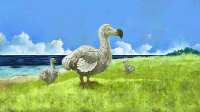 Repræsentation af den uddøde dodofugl (illustration) af Alessandro Lonati