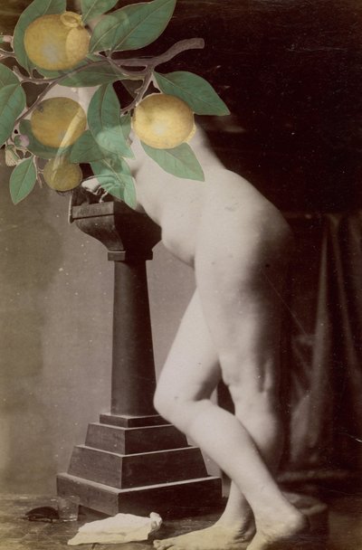 Alliance, 2020 (collage) af Alex Caminker