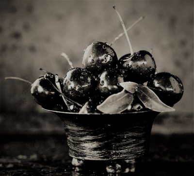 Kirsebær, 2019, (fotografi) af Alex Caminker