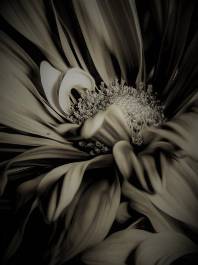Indre rum, 2019, (fotografi) af Alex Caminker