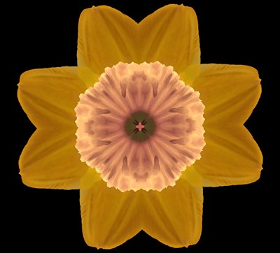 Symmetry, 2019, (fotografi) af Alex Caminker
