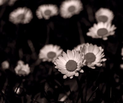 Enheder, 2019, (fotografi) af Alex Caminker