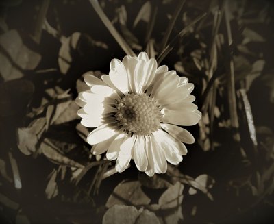 Uden titel, 2019, (fotografi) af Alex Caminker