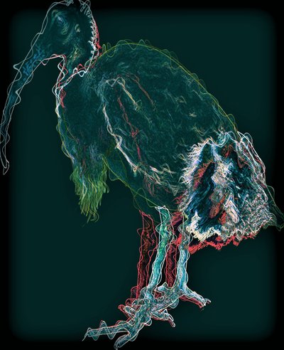 fugl II,2020,(blandet medier) af Alex Caminker