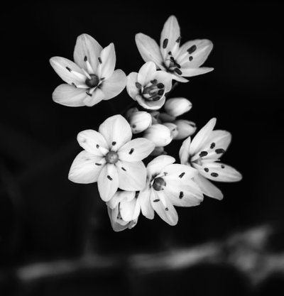 forhold, 2019, (fotografi) af Alex Caminker