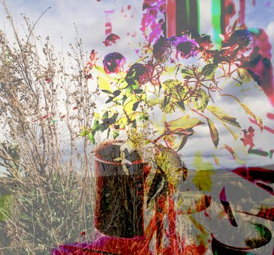 stilleben, 2019, (collage) af Alex Caminker