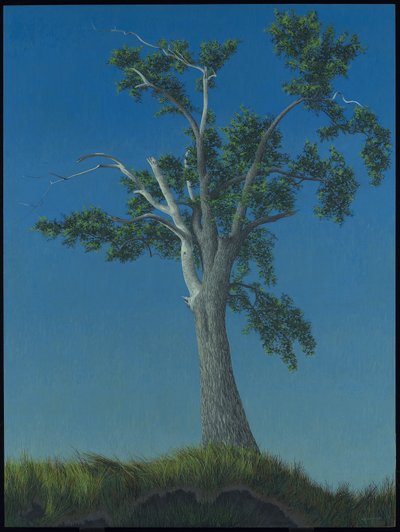 Elmetræet på Horton Landing af Alex Colville