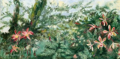 Farverige tropiske orkideer af Alex Cornell