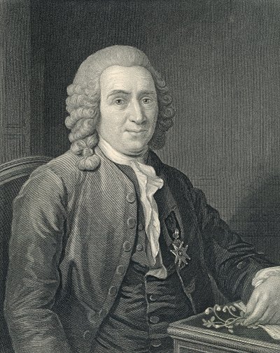 Carolus Linnaeuksen muotokuva af Alexander (after) Roslin