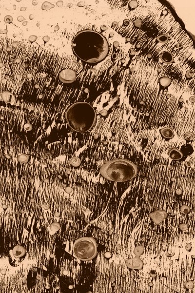 Ilt af Alexander Adiels