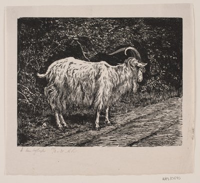 En gedebuk af Alexander Blom