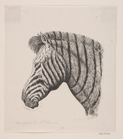 Hoved af en Zebra af Alexander Blom