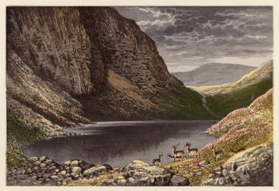 Skotsk Loch-landskab: Dhu Loch, Loch-na-gar (farvelitografi) af Alexander Francis (after) Lydon