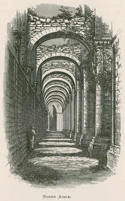 Fountains Abbey, North Aisle af Alexander Francis Lydon